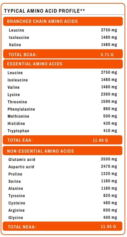Shaurya Whey Protein Belgian Chocolate - Image 3